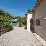 Brun בגור
